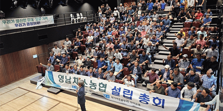 Empowering Farmers: How Yeongnam Vegetable Cooperative Aims to Stabilize Garlic and Onion Markets