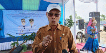 Closing the Gap: Boosting Local Shallot Production in Serang Regency to Meet Rising Demand