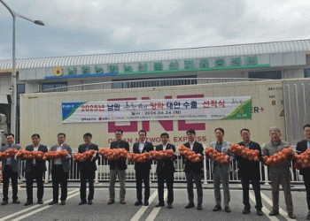 South Korea’s Onion Exports to Taiwan: A Strategic Move to Stabilize Prices and Supply