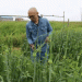 From Garlic Farms to Garlic Festivals: How Wakkanai’s Innovators Are Revolutionizing Local Agriculture