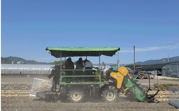 Onion Farming Revolution: How Mechanization Cuts Labor by 82% and Boosts Profitability