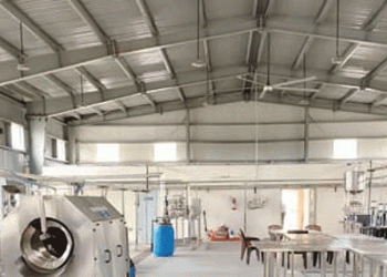 Revolutionizing Agriculture: IIT Tirupati’s Food Processing Hub Set to Transform Rayalaseema’s Farming Economy