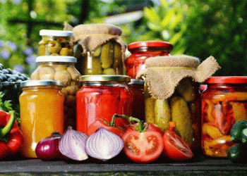 Revolutionizing Agriculture: China’s Massive Investment in Kazakhstan’s Agro-Processing Sector