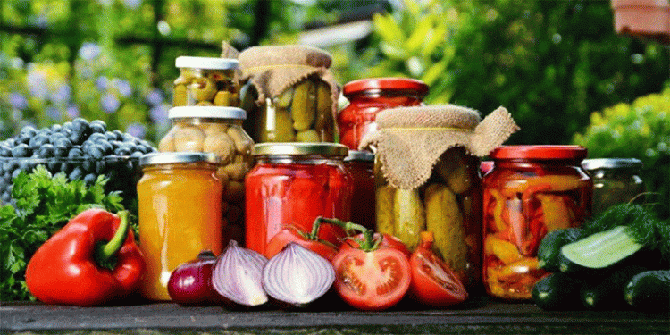 Revolutionizing Agriculture: China’s Massive Investment in Kazakhstan’s Agro-Processing Sector