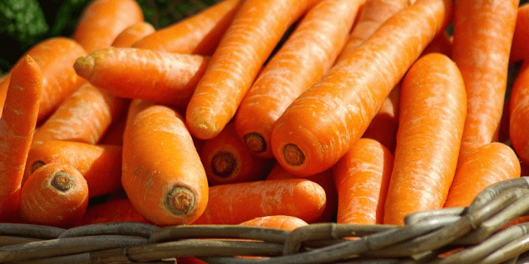 Unfavorable Weather Delays Early Vegetable Harvest: Market Prices and Farmer Challenges