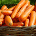 Unfavorable Weather Delays Early Vegetable Harvest: Market Prices and Farmer Challenges