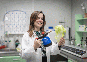 From Waste to Worth: Transforming Chinese Cabbage into High-Tech Sensors