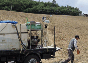 Drought Crisis in Korean Highlands: Can High-Altitude Cabbage Farming Survive?