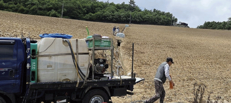 Drought Crisis in Korean Highlands: Can High-Altitude Cabbage Farming Survive?