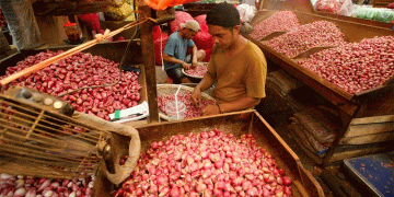 Majalengka’s Declining Shallot Production: Weather, Market Pressures, and Shifting Farming Trends