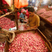 Majalengka’s Declining Shallot Production: Weather, Market Pressures, and Shifting Farming Trends
