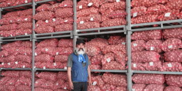 Gongju Sulfur Flower Garlic: A Model of Quality, Profitability, and Sustainable Farming