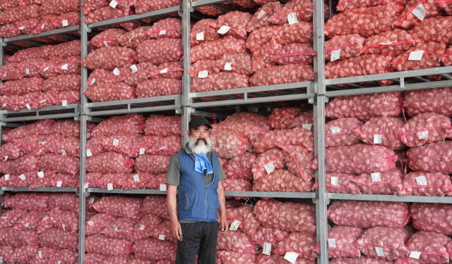 Gongju Sulfur Flower Garlic: A Model of Quality, Profitability, and Sustainable Farming