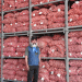 Gongju Sulfur Flower Garlic: A Model of Quality, Profitability, and Sustainable Farming