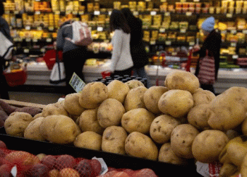 Extreme Heat and Food Price Spikes: How Climate Change is Disrupting Global Agriculture and Inflation