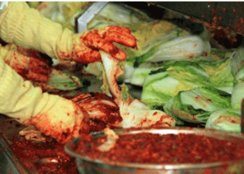 Extreme Heatwaves and Crop Shortages: Lessons from South Korea’s Agricultural Crisis