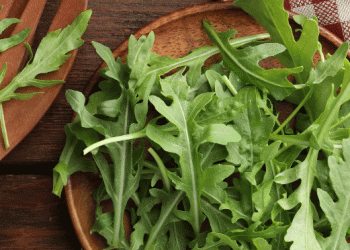 Beyond the Supplement Aisle: 8 Magnesium-Rich Vegetables to Power Your Health and Your Profits