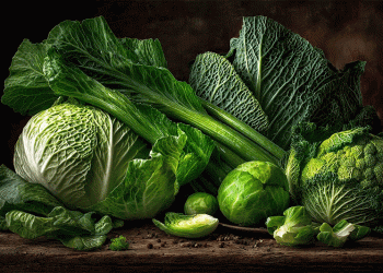 Russian Scientists Discover Anti-Aging Power in Common Vegetables: The Science Behind Cruciferous Superfoods”Description