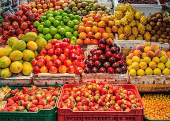 A National Blueprint: How Luxembourg’s School Program is Building a Market for Local Organic Producers