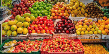A National Blueprint: How Luxembourg’s School Program is Building a Market for Local Organic Producers