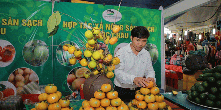 Tao Nguyen’s High-Tech Agri-Revolution: A Blueprint for Sustainable Highland Farming