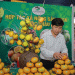 Tao Nguyen’s High-Tech Agri-Revolution: A Blueprint for Sustainable Highland Farming