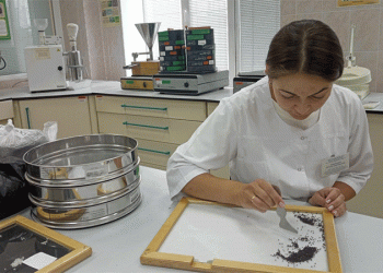 Winter Rapeseed Quality Breakthrough: Moscow Region Sets New Standards in Oilseed Safety