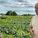 One-Man Cabbage Empire: How a Komi Farmer Harvests 250 Tons Solo Each Season