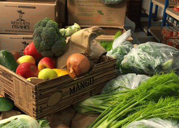 The Organic Paradox: Bumper Harvests and Plummeting Demand Test Farm Resilience