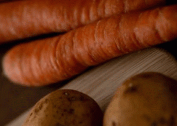 Mobilizing a Nation: Mongolia’s Unconventional Strategy to Secure Its Harvest