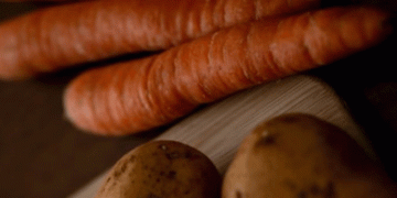 Mobilizing a Nation: Mongolia’s Unconventional Strategy to Secure Its Harvest