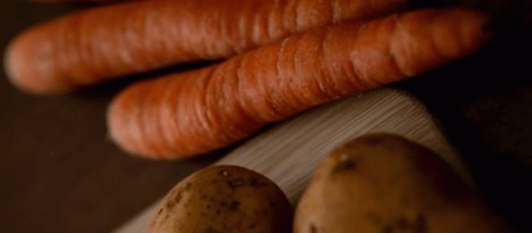 Mobilizing a Nation: Mongolia’s Unconventional Strategy to Secure Its Harvest