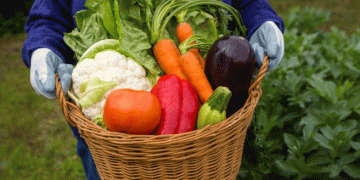 Winter Warriors: The Cold-Hardy Vegetables That Defy Frozen Soil and Keep Growing
