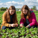 Solving Russia’s Agricultural Labor Crisis: Strategies to Attract and Retain Skilled Workers