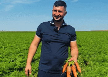 From 8 to 480 Hectares: The Kazakh Farm Pioneering ‘Healthy Eating’ Vegetables with Precision Irrigation