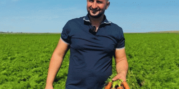 From 8 to 480 Hectares: The Kazakh Farm Pioneering ‘Healthy Eating’ Vegetables with Precision Irrigation
