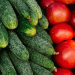 Irkutsk Crackdown: 1.7 Tons of Substandard Produce Removed from Markets – What Farmers Need to Know