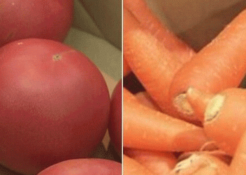 Japan’s Vegetable Price Divide: Tomatoes & Carrots Spike 20% Amid Heatwaves While Cabbage Prices Drop