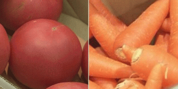 Japan’s Vegetable Price Divide: Tomatoes & Carrots Spike 20% Amid Heatwaves While Cabbage Prices Drop