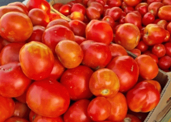 Sunday Markets in Bishkek: A Hub for Fresh Produce and Affordable Nutrition