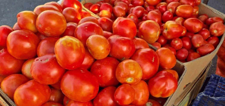 Sunday Markets in Bishkek: A Hub for Fresh Produce and Affordable Nutrition