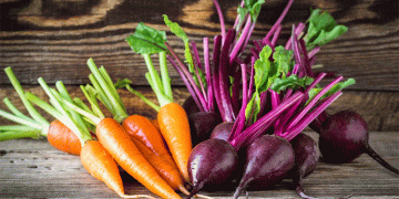 The August Mistake: Why Premature Harvest Robs Root Crops of Weight and Nutrients