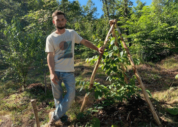 From Permafrost to Paradise: How a Sakhalin Farmer is Growing Tropical Trees in Russia’s Far East