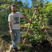 From Permafrost to Paradise: How a Sakhalin Farmer is Growing Tropical Trees in Russia’s Far East