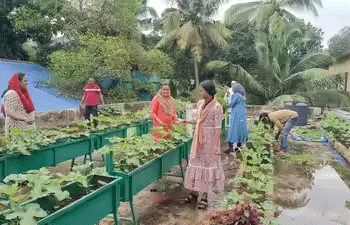 Cultivating the Next Generation: How Kochi’s School Gardens Are Sowing Seeds of Organic Farming