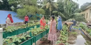 Cultivating the Next Generation: How Kochi’s School Gardens Are Sowing Seeds of Organic Farming
