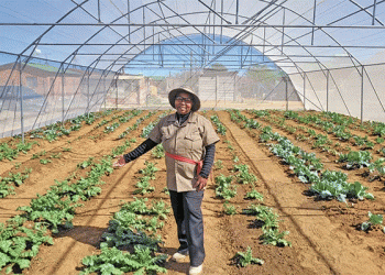 From Dump to Bumper Crop: A Case Study in Land Reclamation and Strategic Partnerships