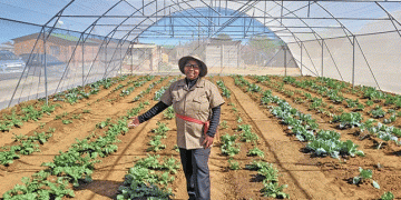 From Dump to Bumper Crop: A Case Study in Land Reclamation and Strategic Partnerships