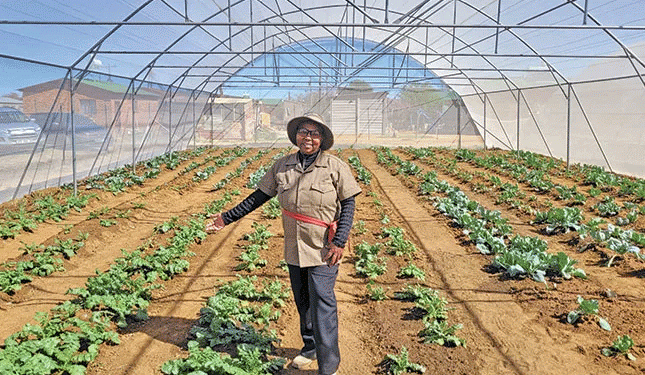 From Dump to Bumper Crop: A Case Study in Land Reclamation and Strategic Partnerships