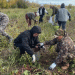 Yakutia Defies the Odds: Harvest Data Reveals a Surge in Arctic Agriculture